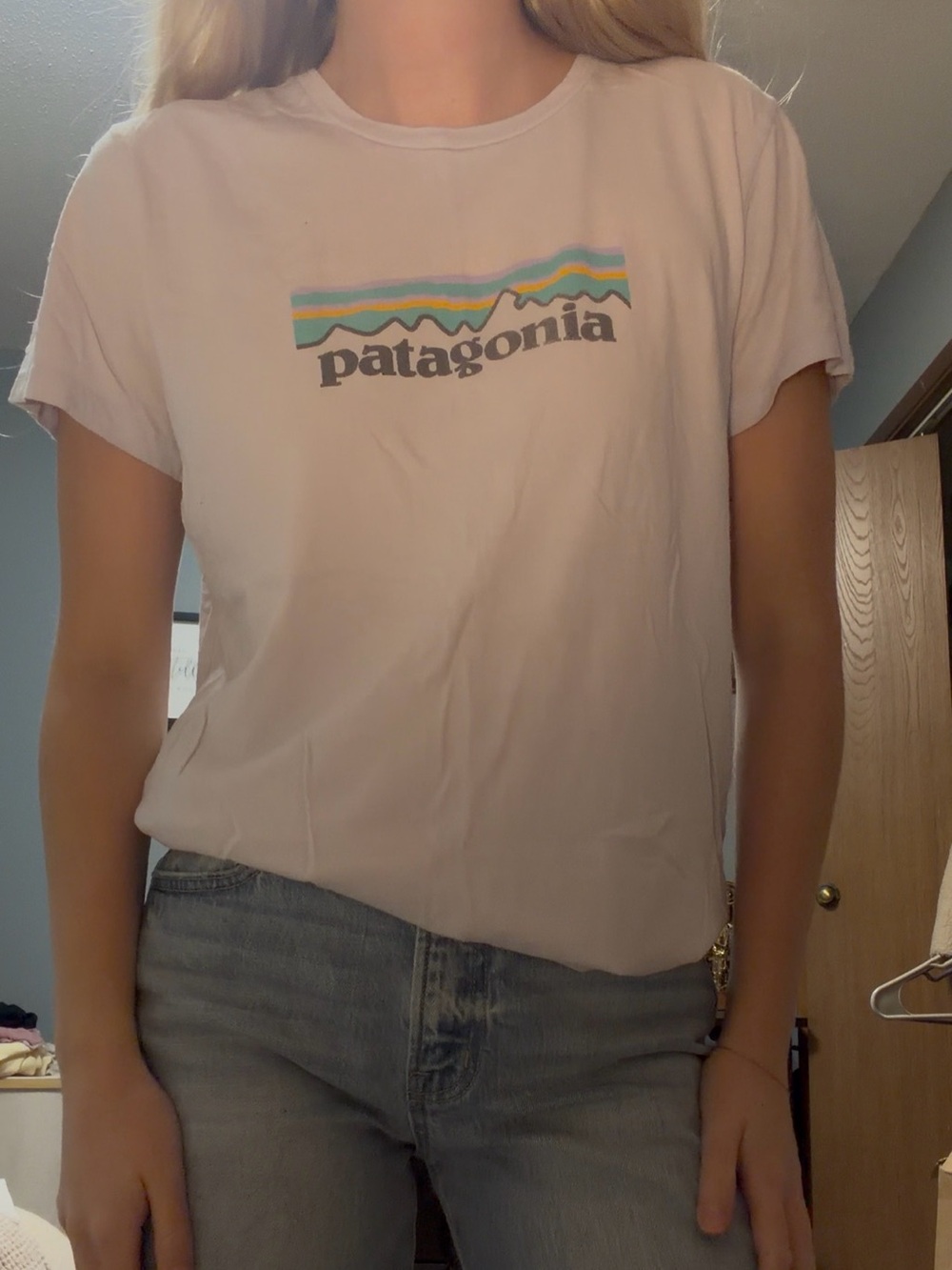 Patagonia Light Pink Short Sleeve Logo Tee